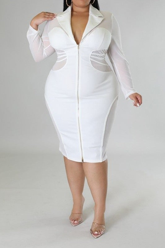 Sheer Zipper Closure Stretch Midi Dress