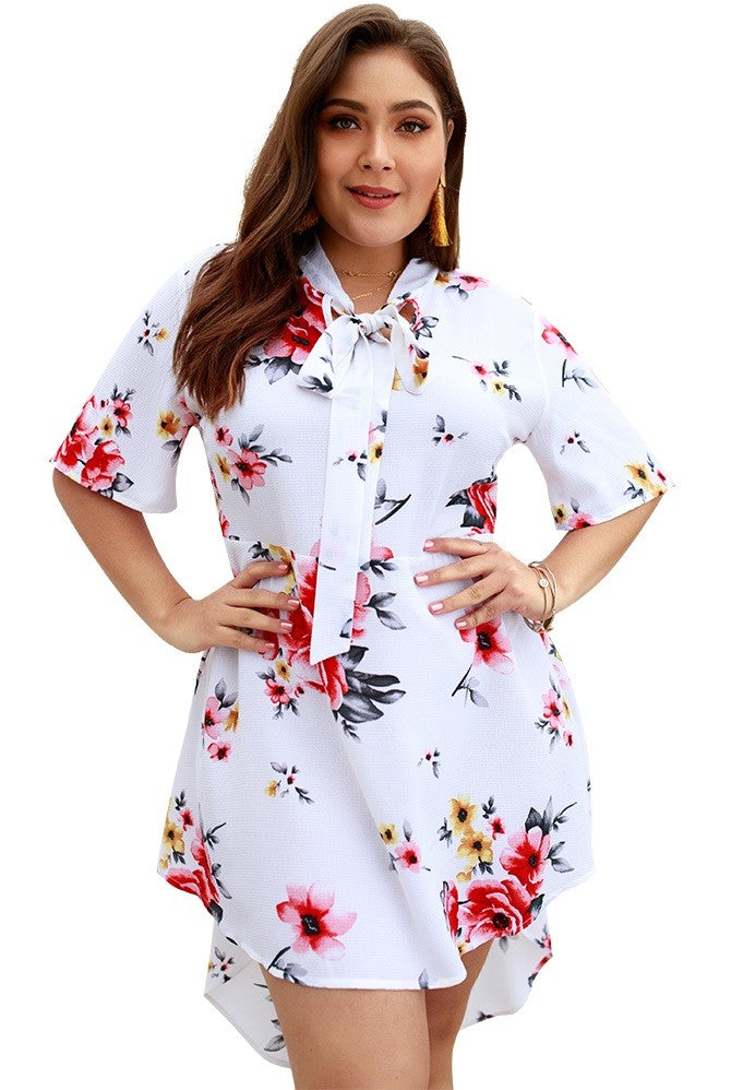 Floral Print V Neck Mini Dresses