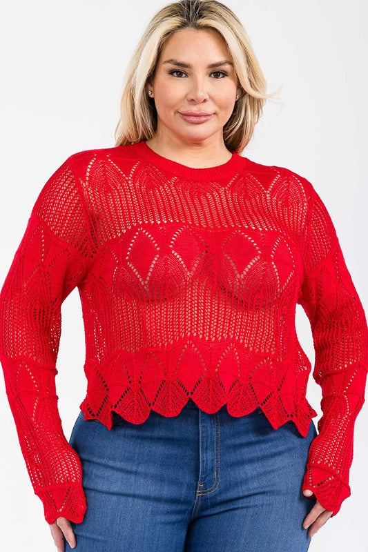 Junior Plus Long Sleeve Crochet Lace Top